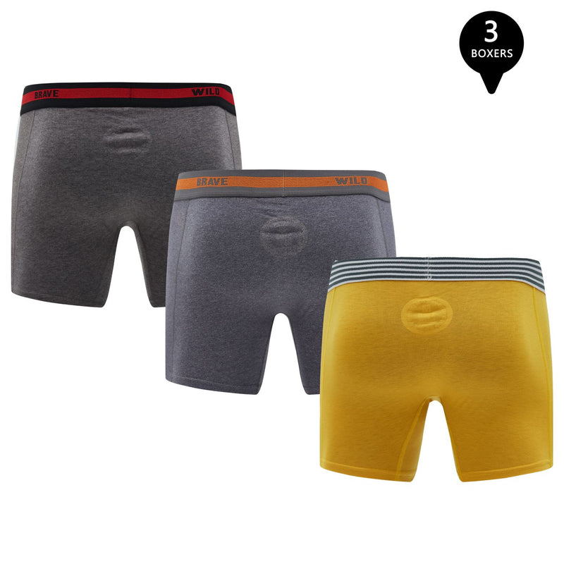 Pack de 3 Bóxer Medio Algodón Hombre