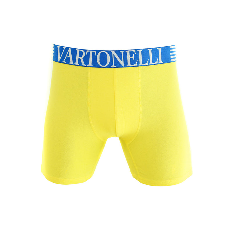 PACK 6 BOXER DE ALGODON VARTONELLI